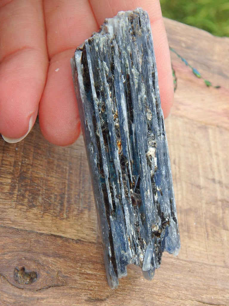 Gemmy Blue Kyanite Natural Point Specimen - Earth Family Crystals