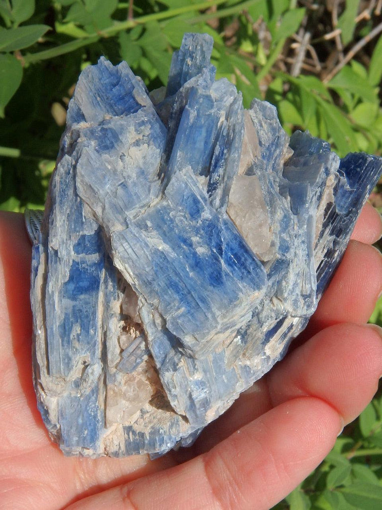 Shiny Blue Kyanite & Clear Quartz Cluster - Earth Family Crystals