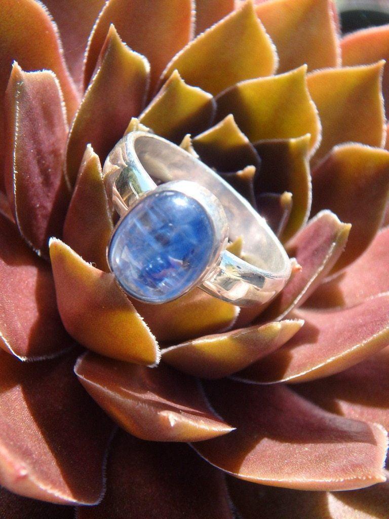 Adorable Gemmy Blue Kyanite Ring In Sterling Silver (Size 7) - Earth Family Crystals