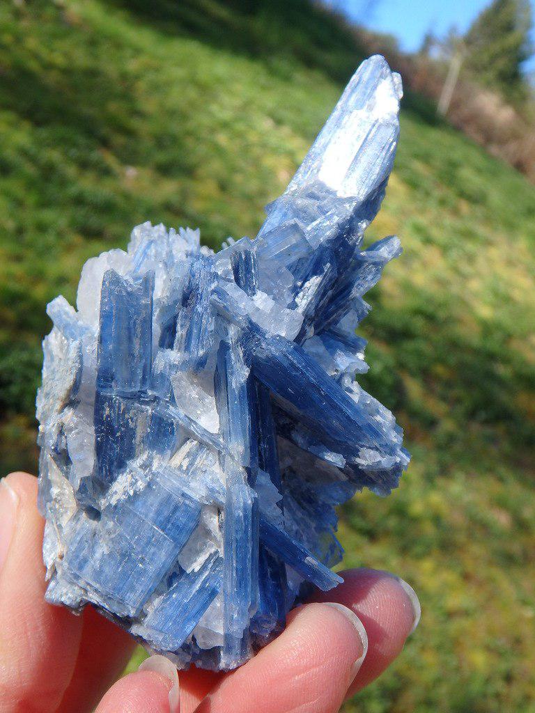 Spectacular Blue Kyanite Cluster With Clear Quartz - Earth Family Crystals