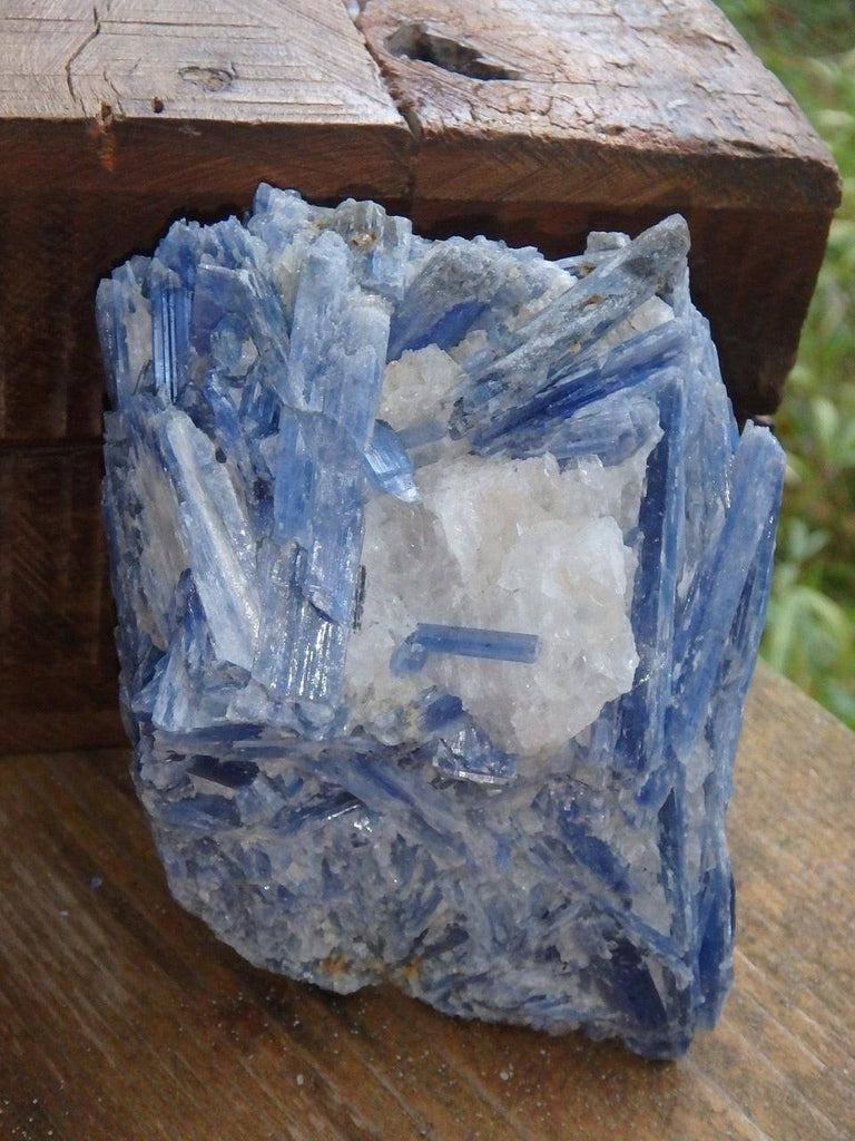 Gorgeous Large Blades of Blue Kyanite Cluster With Quartz Inclusions - Earth Family Crystals