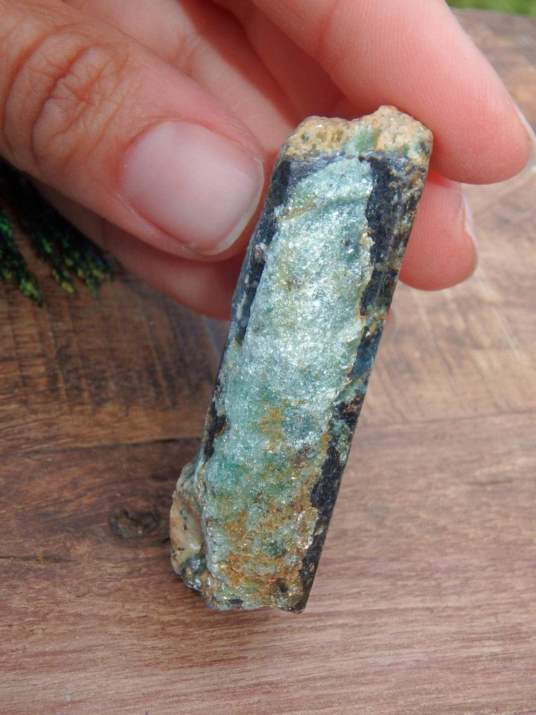 Reserved For Danielle G. Fabulous Deep Gemmy Blue Kyanite & Fuchsite Point  Specimen From Madagascar 1 - Earth Family Crystals