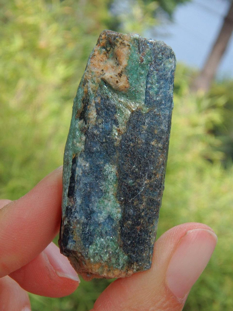 Reserved For Danielle G. Fabulous Deep Gemmy Blue Kyanite & Fuchsite Point  Specimen From Madagascar 1 - Earth Family Crystals