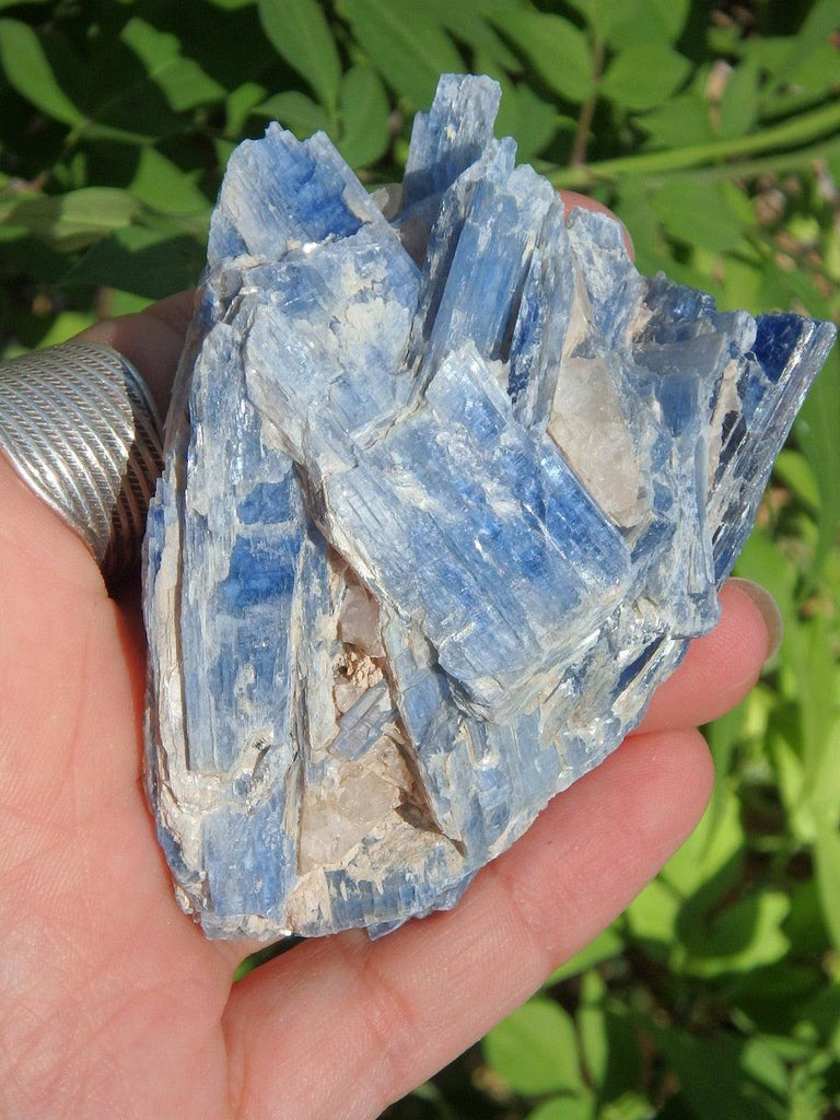 Shiny Blue Kyanite & Clear Quartz Cluster - Earth Family Crystals