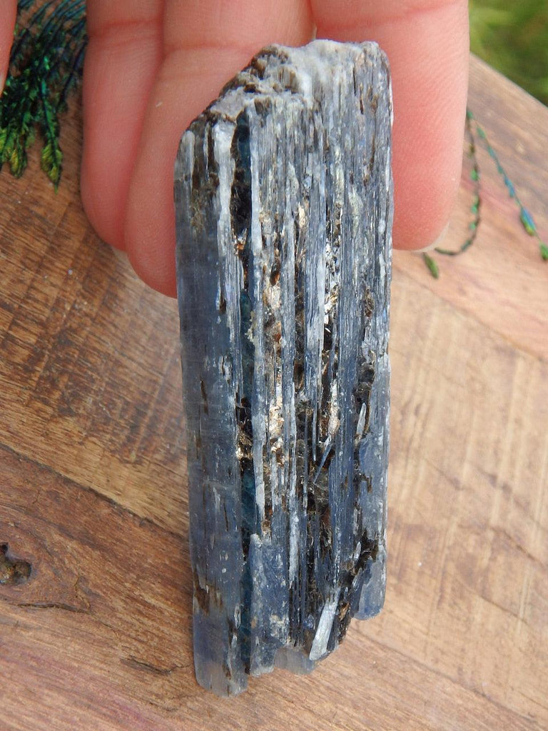 Gemmy Blue Kyanite Natural Point Specimen - Earth Family Crystals