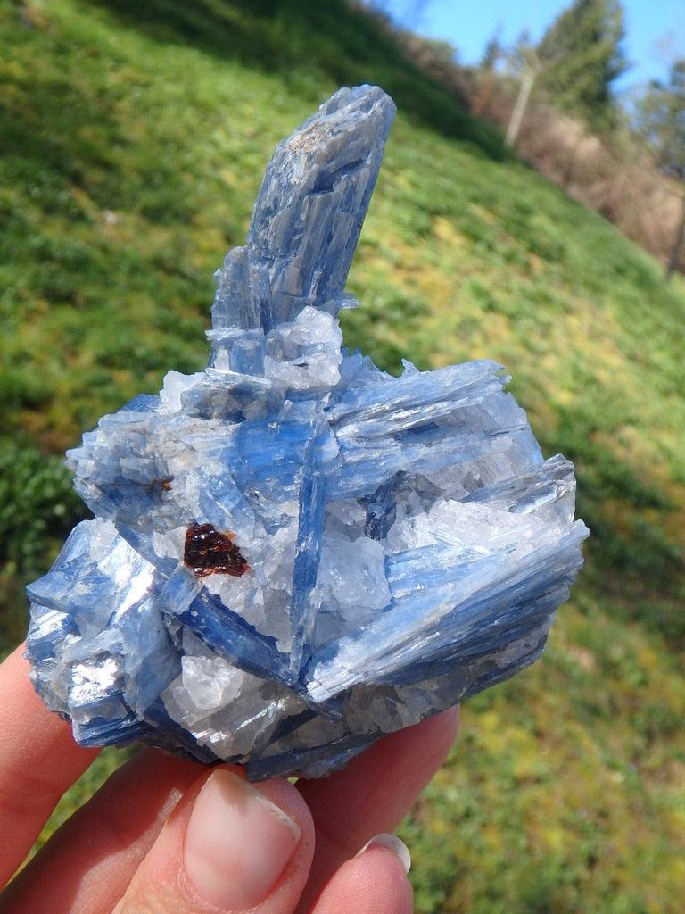 Spectacular Blue Kyanite Cluster With Clear Quartz - Earth Family Crystals