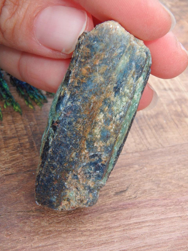 Reserved For Danielle G. Fabulous Deep Gemmy Blue Kyanite & Fuchsite Point  Specimen From Madagascar 1 - Earth Family Crystals