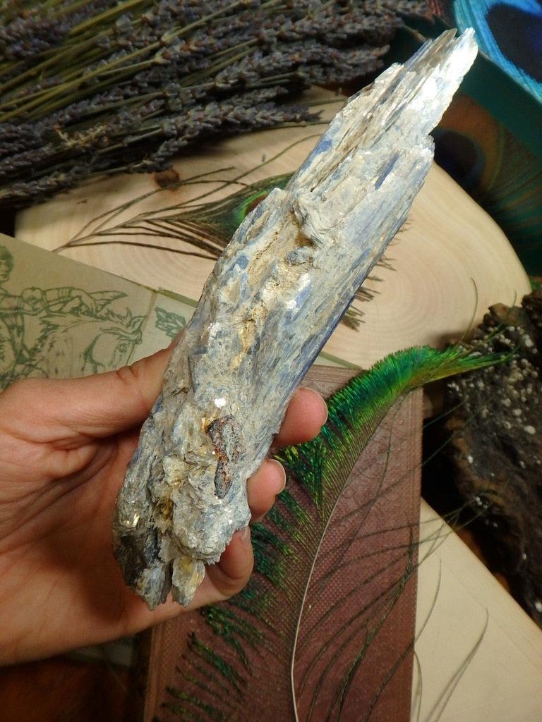 Xl Blue Kyanite Point Specimen - Earth Family Crystals