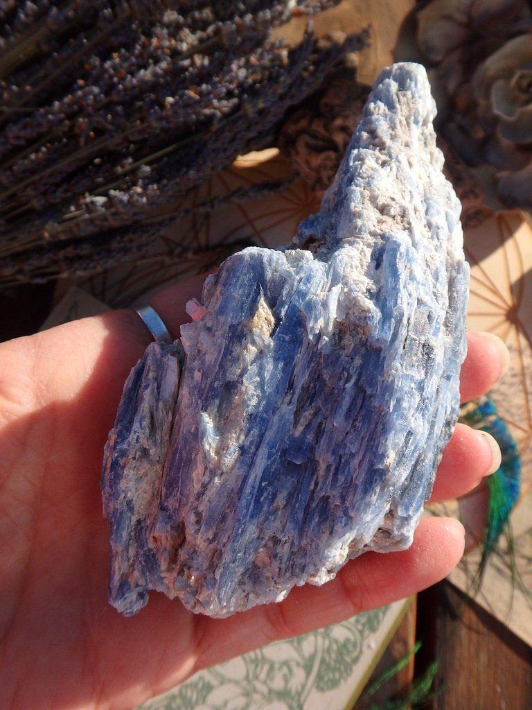 Blue Kyanite Cluster 2 - Earth Family Crystals