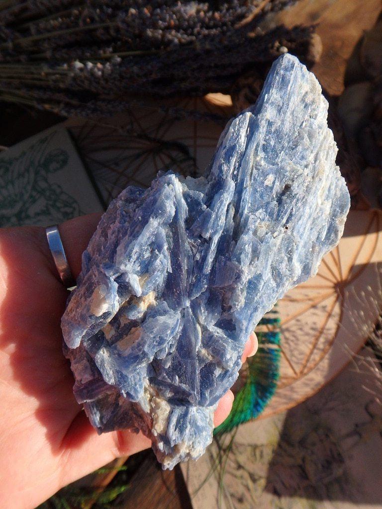 Blue Kyanite Cluster 1 - Earth Family Crystals