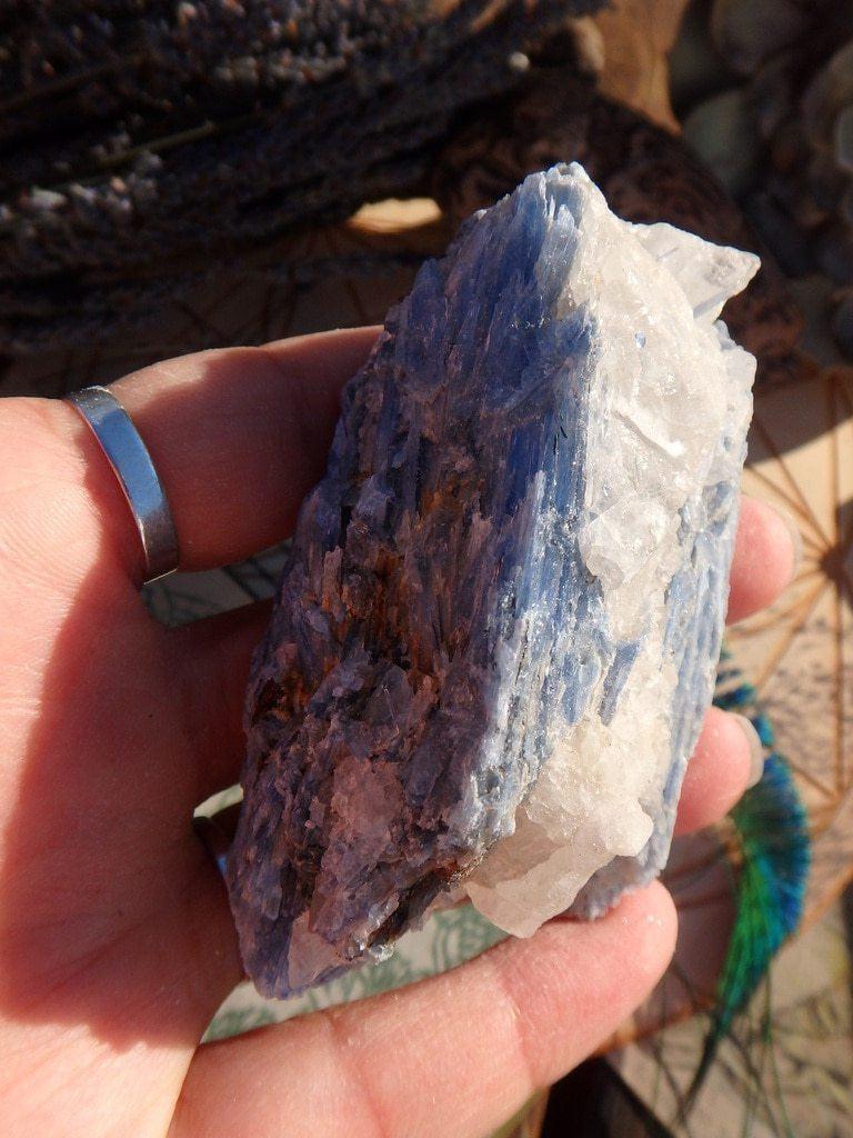 Blue Kyanite Cluster 7 - Earth Family Crystals