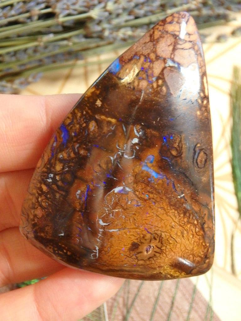 large Australian Boulder Opal Cabochon Specimen - Earth Family Crystals