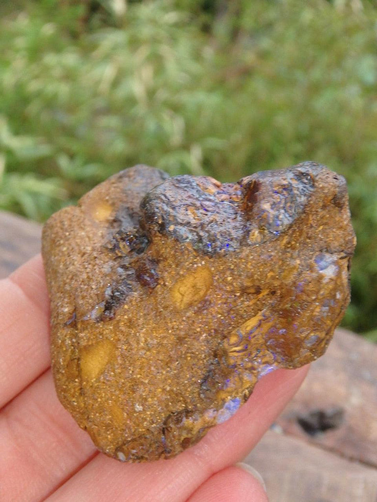 Veins of Purple Sparkle Raw Australian Boulder Opal - Earth Family Crystals