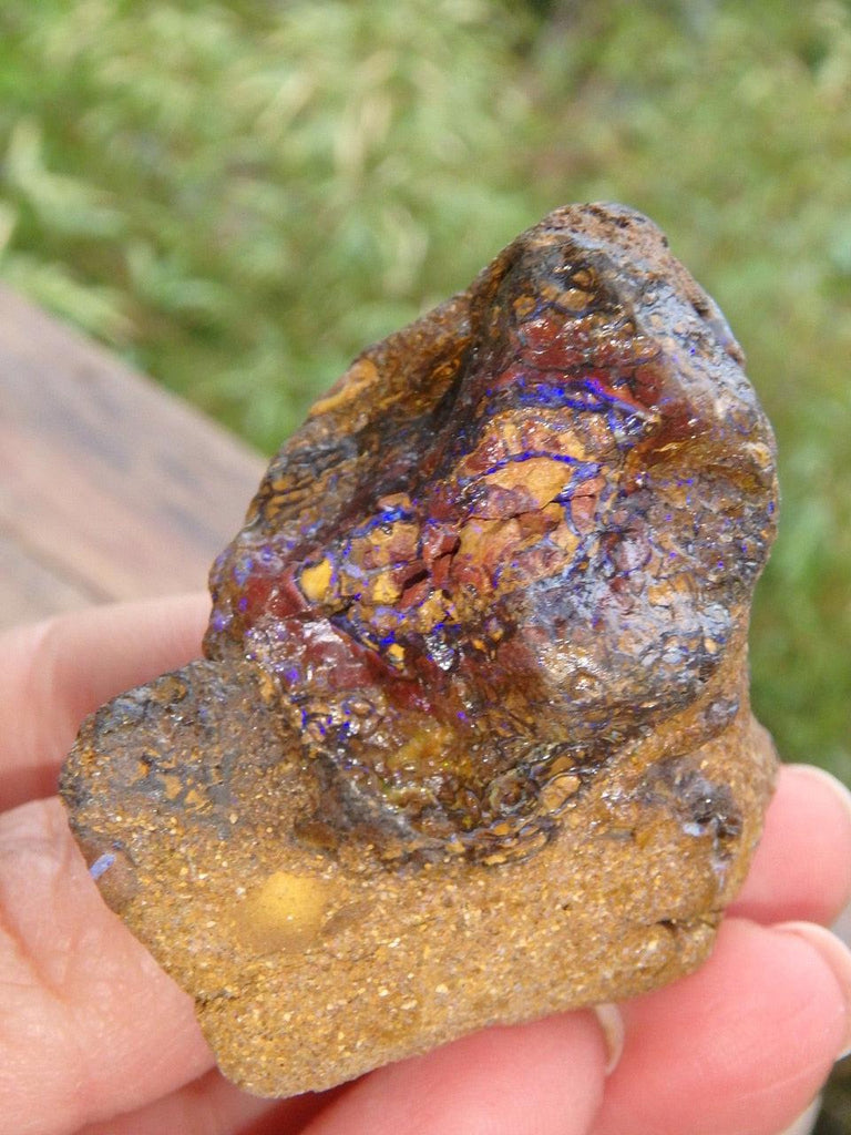 Veins of Purple Sparkle Raw Australian Boulder Opal - Earth Family Crystals