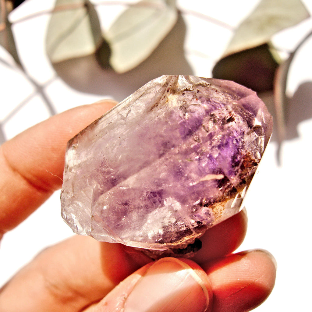 Pretty Purple Brandberg Amethyst Point From Namibia - Earth Family Crystals