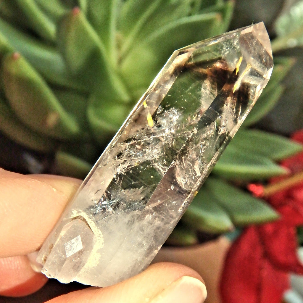 Brilliant Smoky Phantom Brandberg Quartz Point Specimen From Namibia - Earth Family Crystals