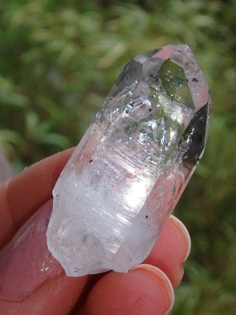 Moving Water Bubbles Brandberg Clear Quartz Point Collectors Specimen - Earth Family Crystals