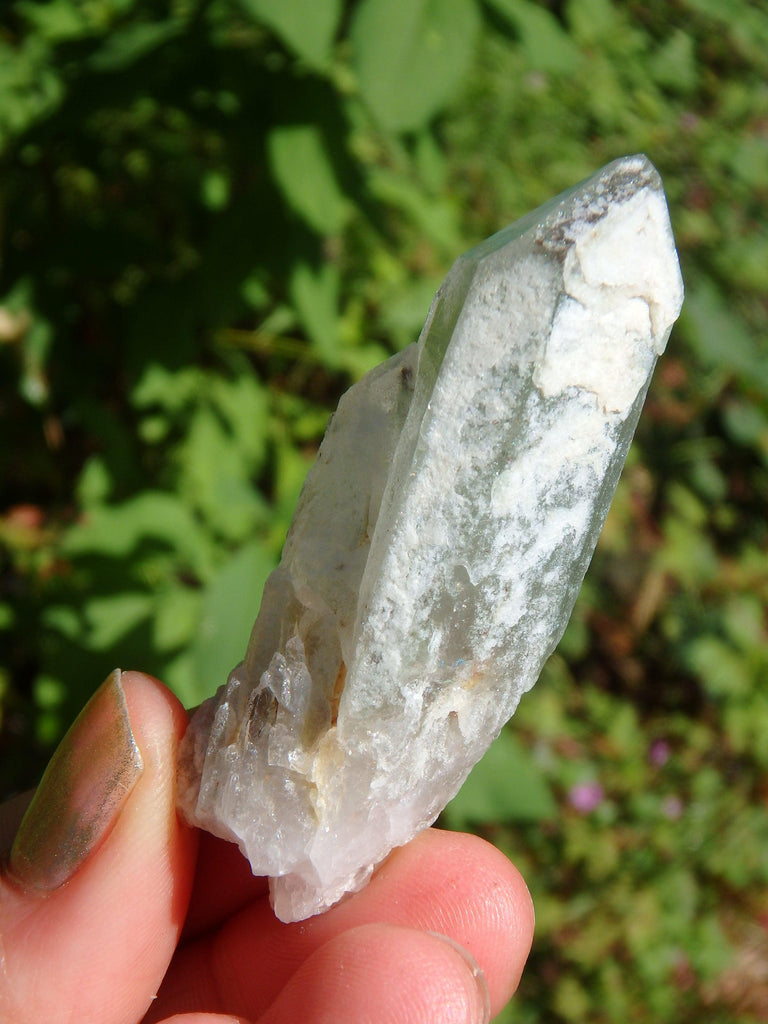 Green Chlorite Natural Brazilian Quartz Point 1 - Earth Family Crystals
