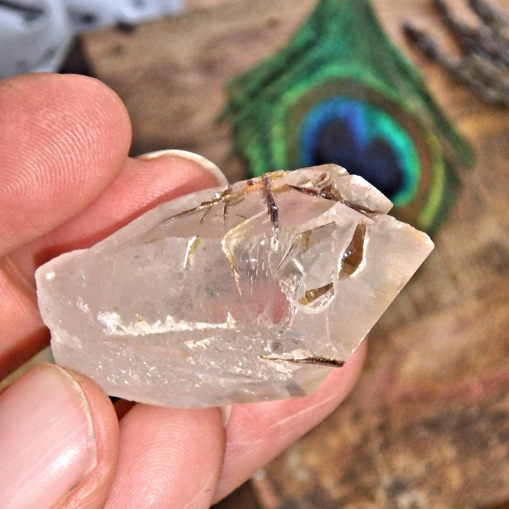 Golden Brookite Blades Nestled in Brazilian Quartz Point 2 - Earth Family Crystals