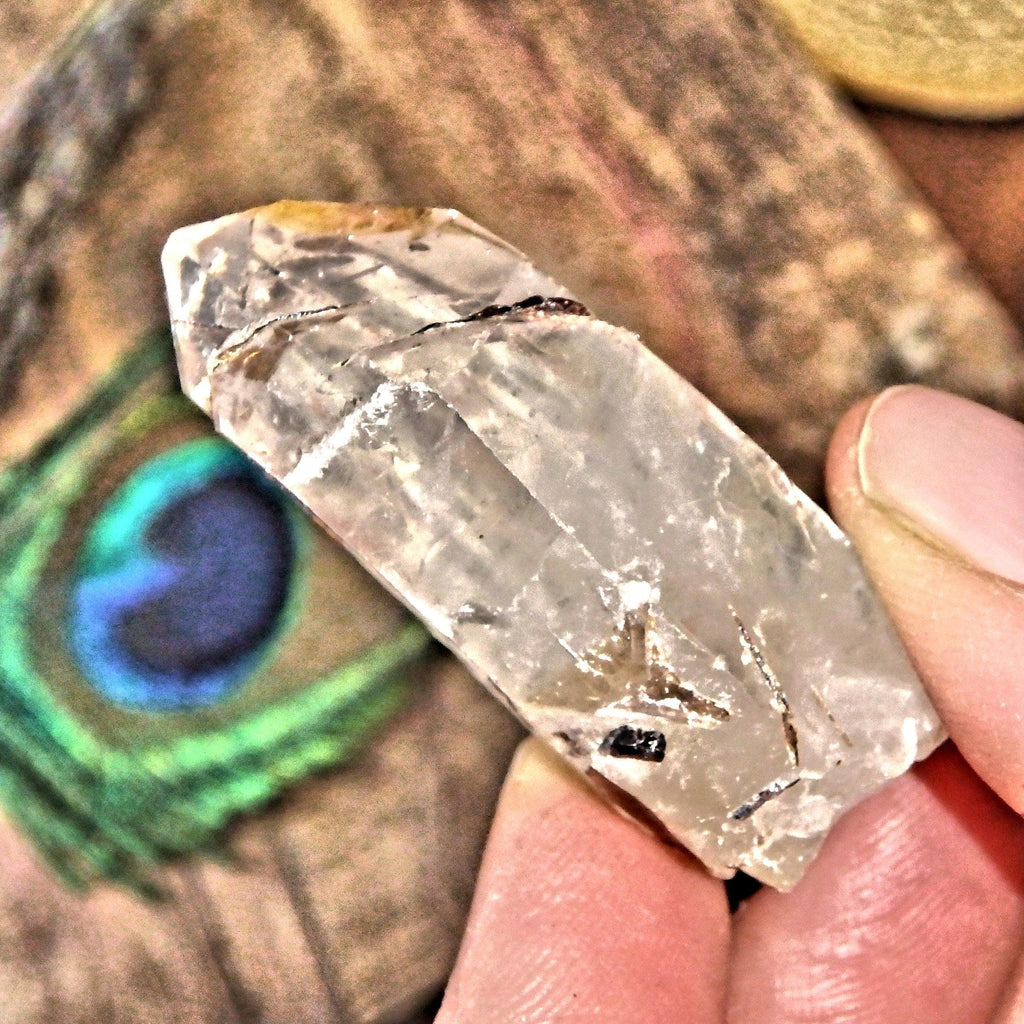 Golden Brookite Blades Nestled in Brazilian Quartz Point 1 - Earth Family Crystals