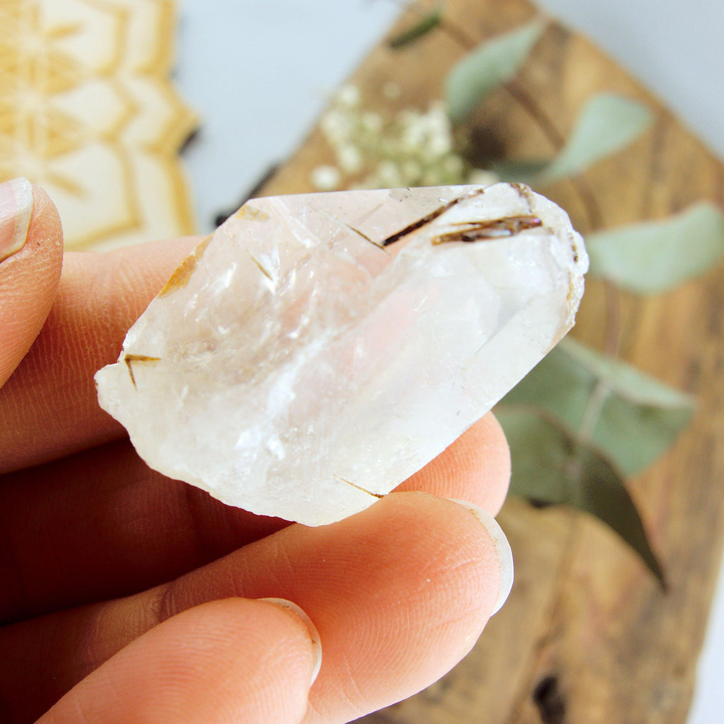 Cute Golden Brookite Blades Nestled in Brazilian Quartz Point #3 - Earth Family Crystals