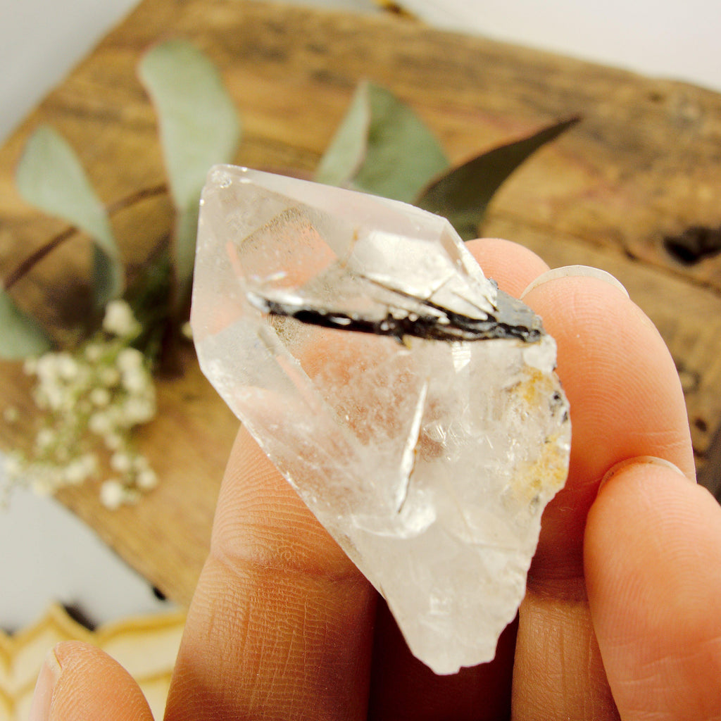 Cute Golden Brookite Blades Nestled in Brazilian Quartz Point #2 - Earth Family Crystals