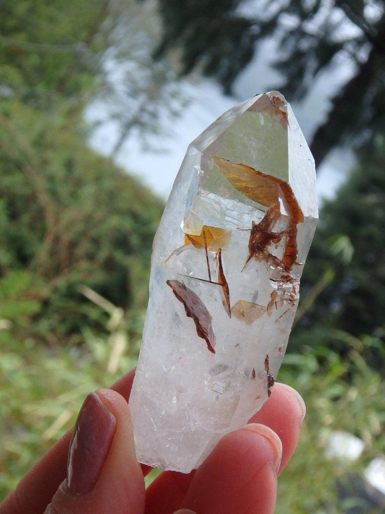 Golden Inclusions Brookite in Clear Quartz Point From Brazil - Earth Family Crystals