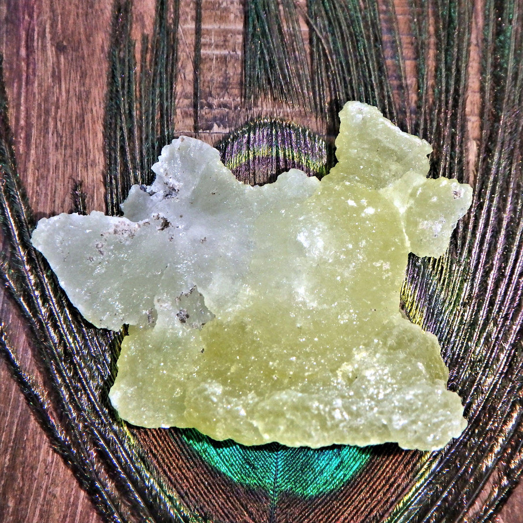 Uplifting Brucite Natural Collectors Specimen 2 - Earth Family Crystals