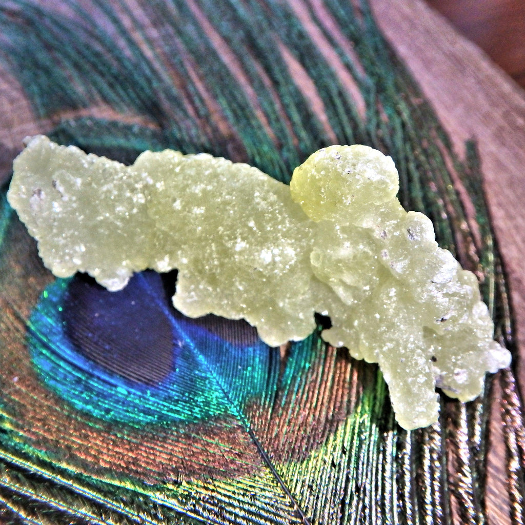 Uplifting Brucite Natural Collectors Specimen 1 - Earth Family Crystals