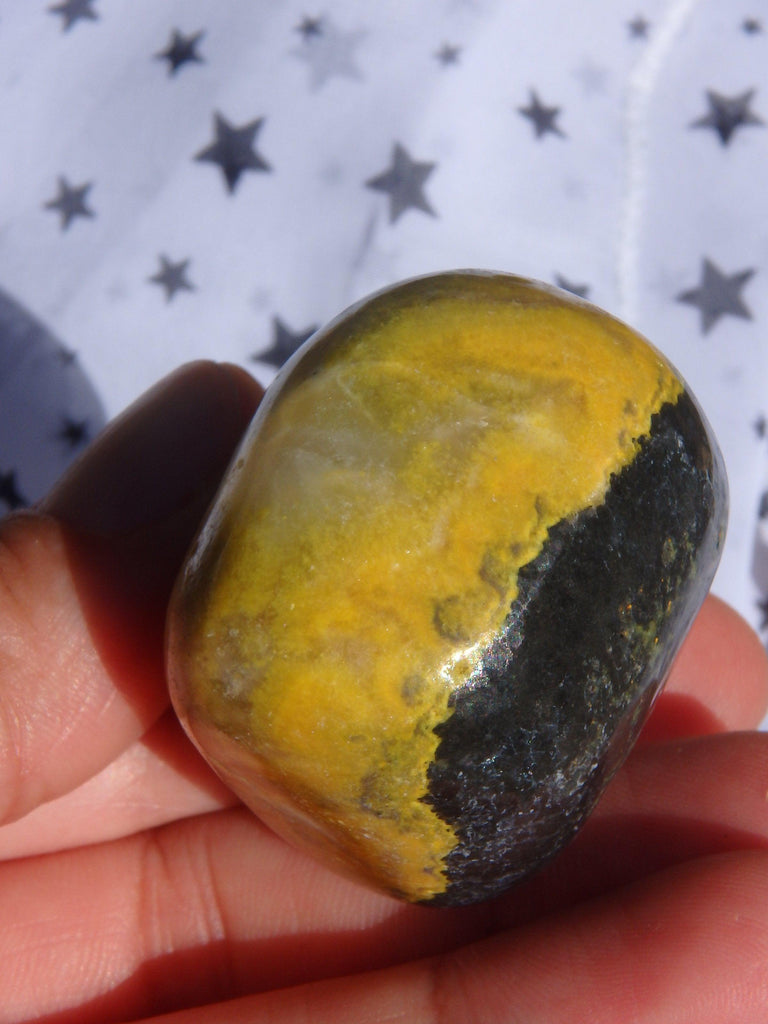 Bumble Bee Jasper Palm Stone1 - Earth Family Crystals