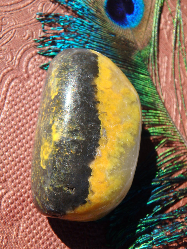 Awesome Patterns Bumble Bee Jasper Pocket Stone From Indonesia 2 - Earth Family Crystals