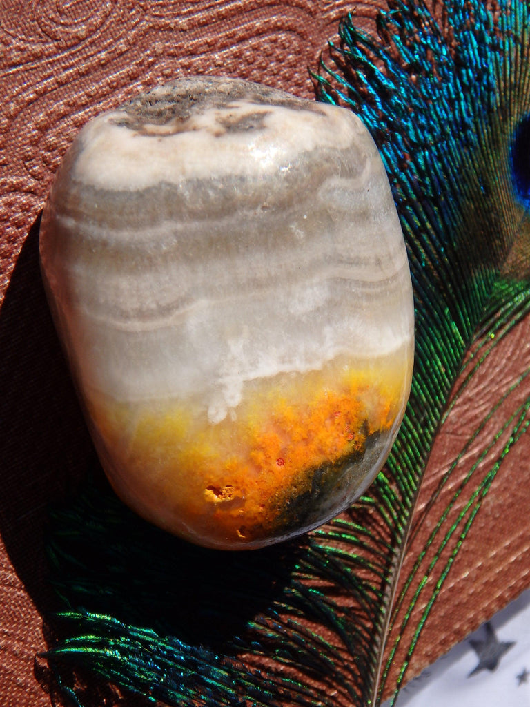 Awesome Patterns Bumble Bee Jasper Pocket Stone From Indonesia 1 - Earth Family Crystals