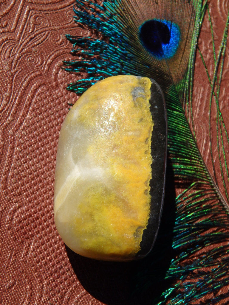 Awesome Patterns Bumble Bee Jasper Pocket Stone From Indonesia 2 - Earth Family Crystals