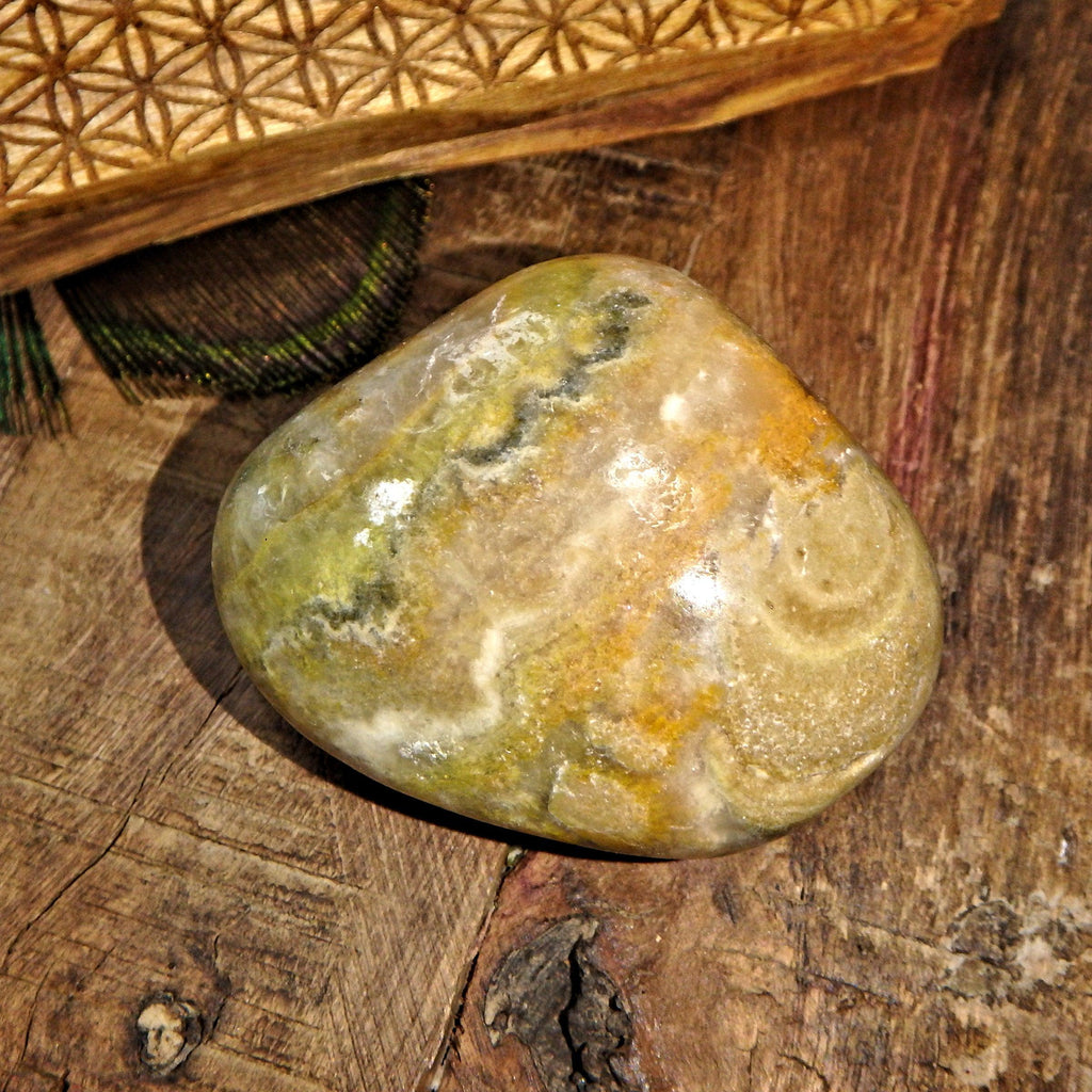 Small Orange Bumble Bee Jasper Polished Specimen 8 - Earth Family Crystals