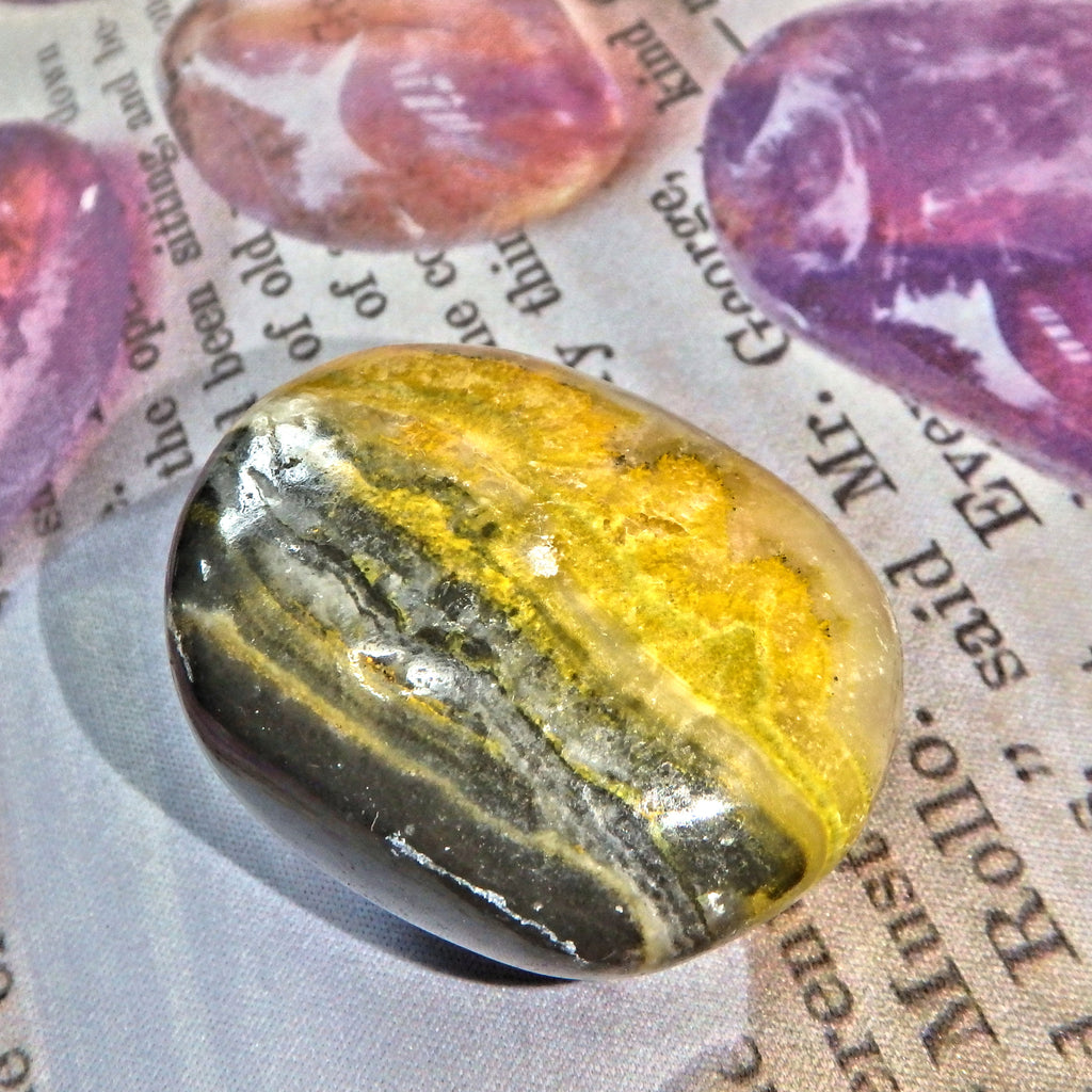 Golden Bumble Bee Jasper Polished Specimen 9 - Earth Family Crystals
