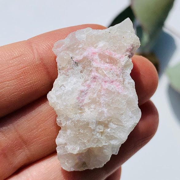 Rare Greenland Tugtupite & White Natrolite Collectors Specimen #2 - Earth Family Crystals