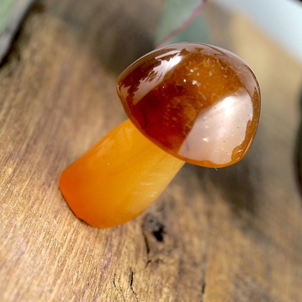 Fire Orange Carnelian Mushroom Standing Carving #1 - Earth Family Crystals