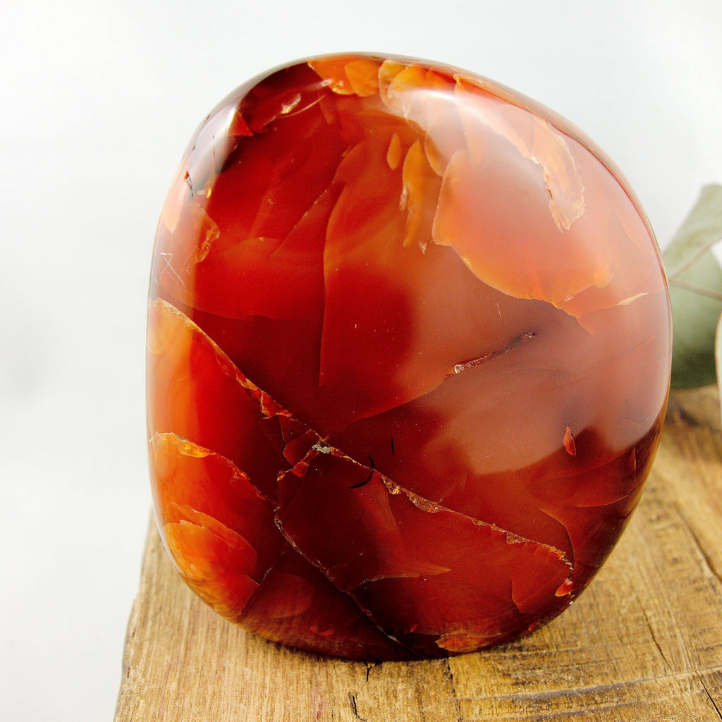 Fire Red Chunky 1 Lb Carnelian Standing Specimen With Caves From Madagascar - Earth Family Crystals