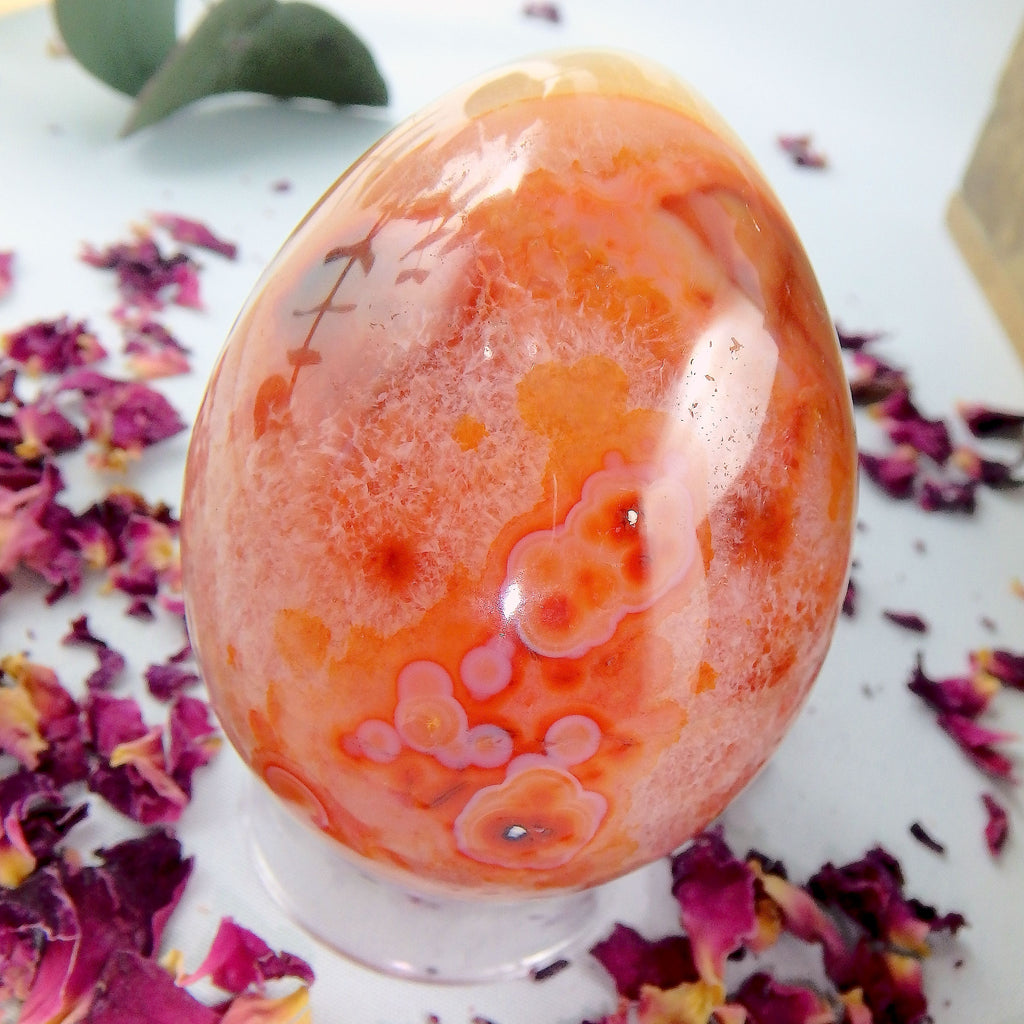 Fabulous Orange & White Patterns & Contrast Carnelian Egg Carving - Earth Family Crystals