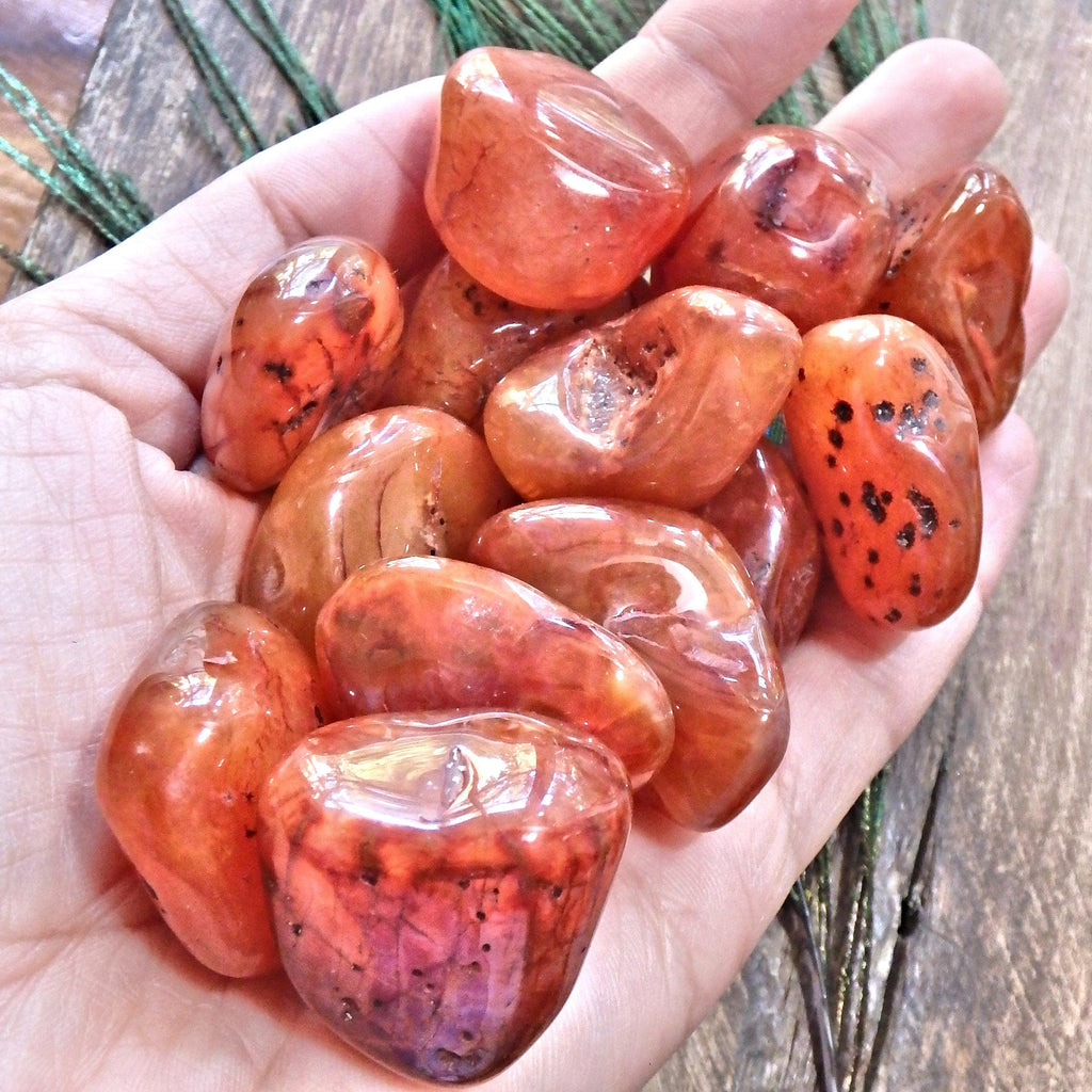 Set of 2 ~ Chunky Carnelian Polished Pocket Tumbled Stones~ Perfect for Sacral Chakra Support - Earth Family Crystals