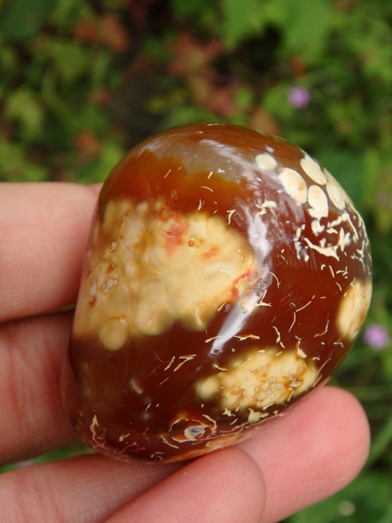 Cute Fire Orange Carnelian Hand Held Polished Stone From Madagascar 1 - Earth Family Crystals