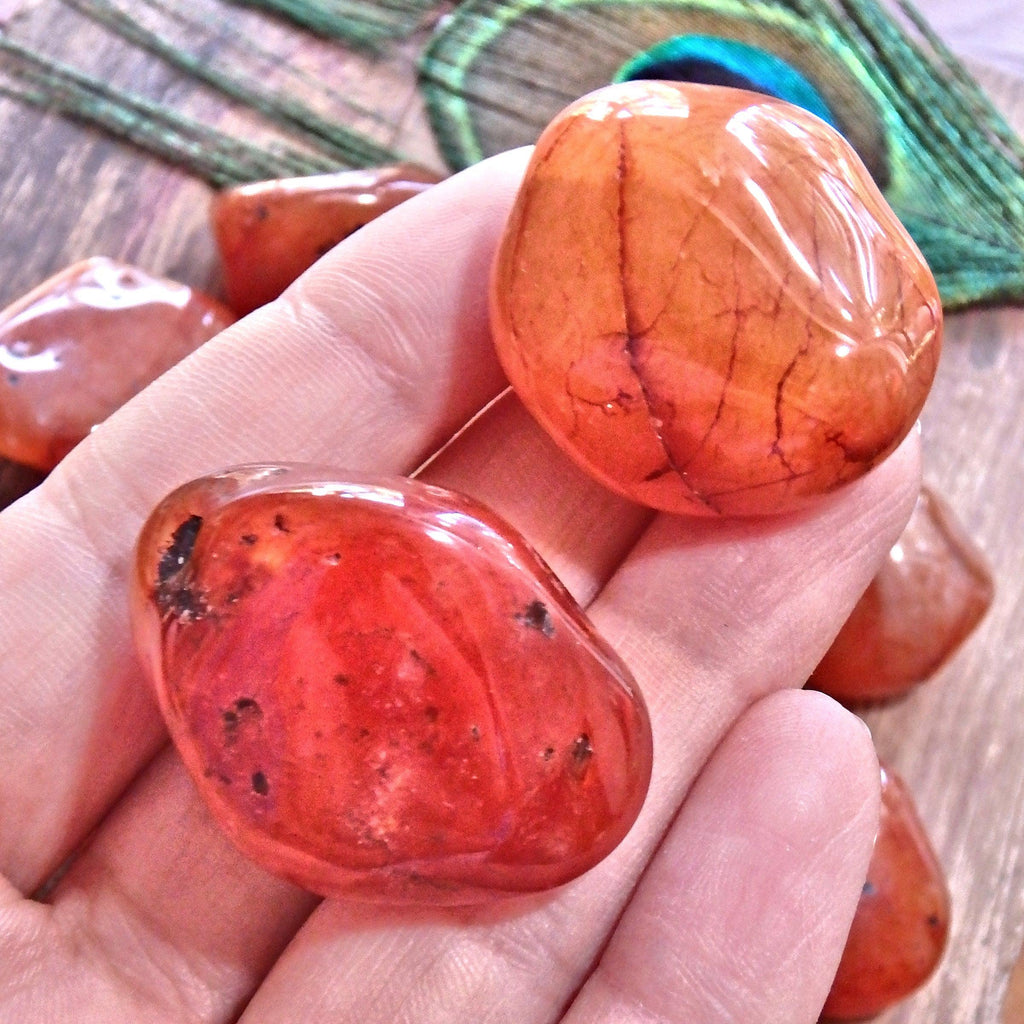 Set of 2 ~ Chunky Carnelian Polished Pocket Tumbled Stones~ Perfect for Sacral Chakra Support - Earth Family Crystals