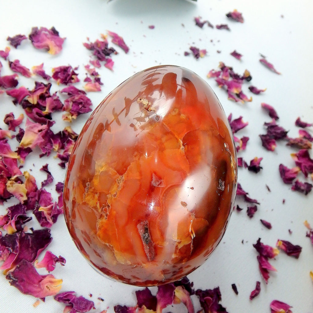 Deep Fire Orange Carnelian Egg Carving #1 - Earth Family Crystals