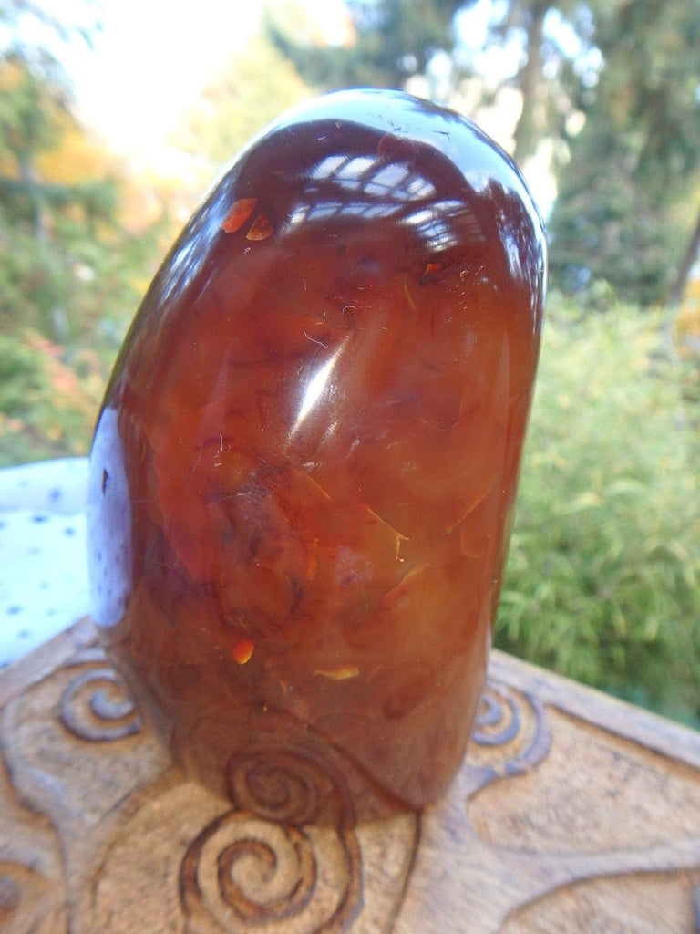 White Druzy Cave Deep Orange Carnelian Standing Display Specimen*REDUCED - Earth Family Crystals