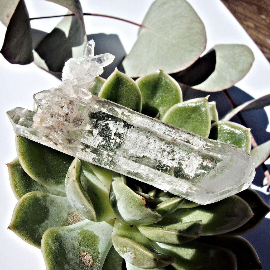 Brilliant Double Terminated Cathedral Quartz Point From Brazil - Earth Family Crystals