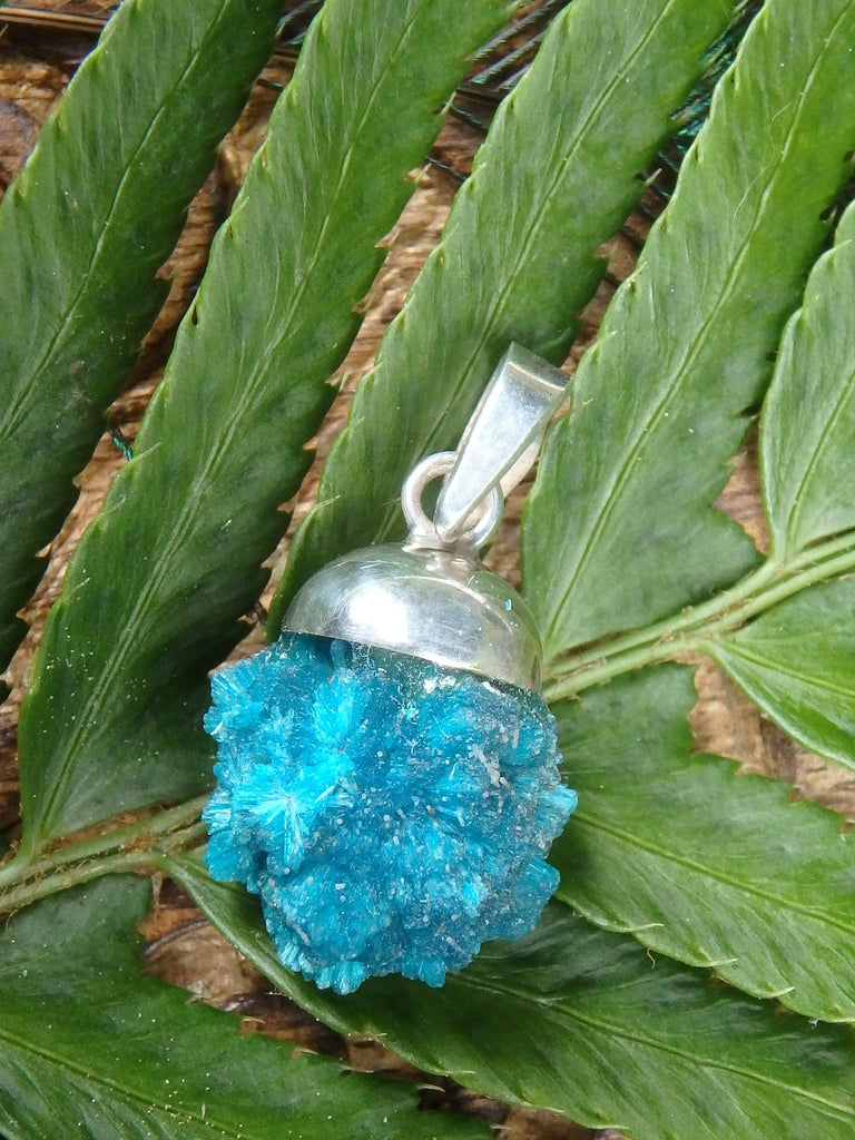 Electric Blue Floating Raw Cavansite From India Pendant In Sterling Silver (Includes Silver Chain) - Earth Family Crystals