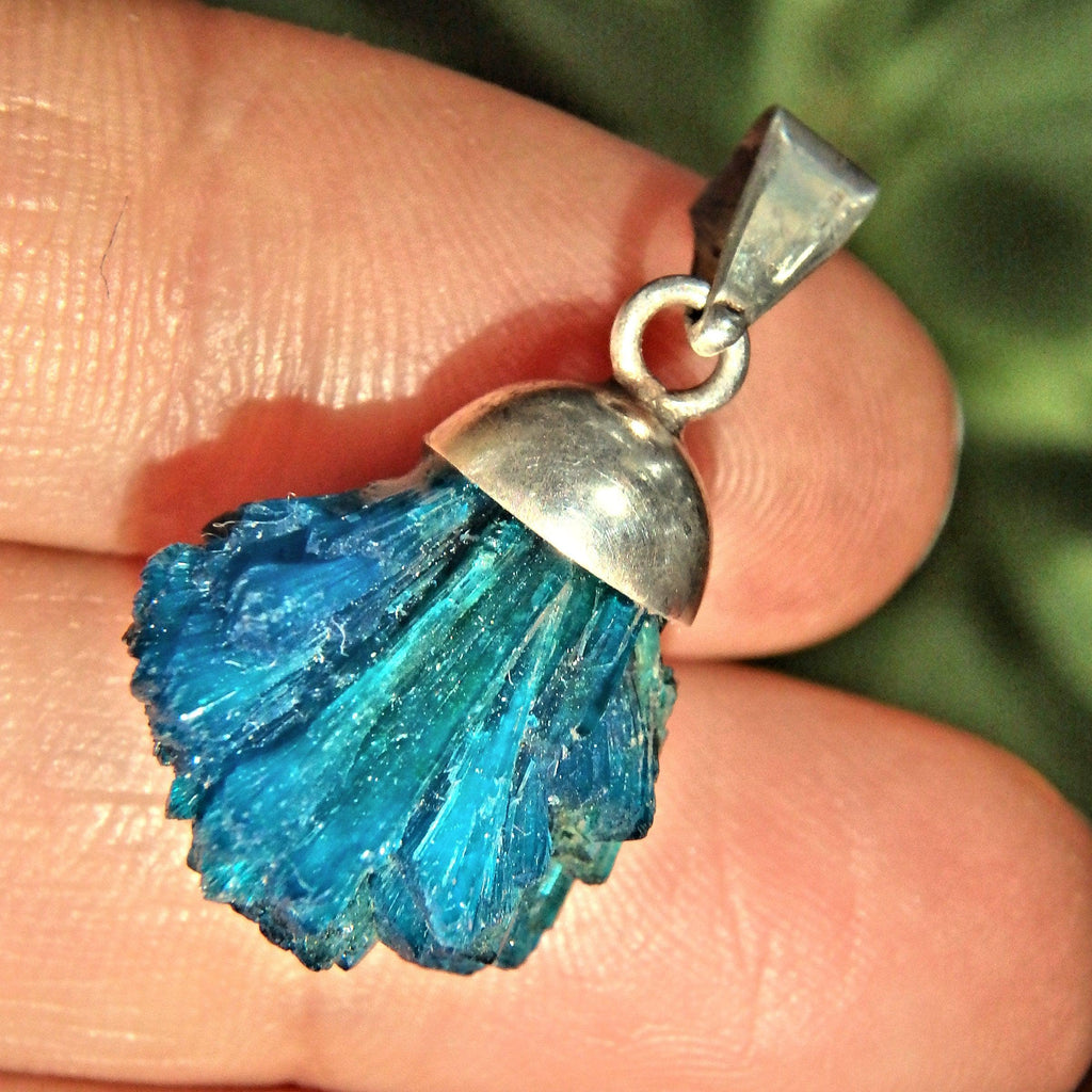 Rare Blue Fanned Cavansite Raw Sterling Silver Pendant (Includes Silver Chain - Earth Family Crystals