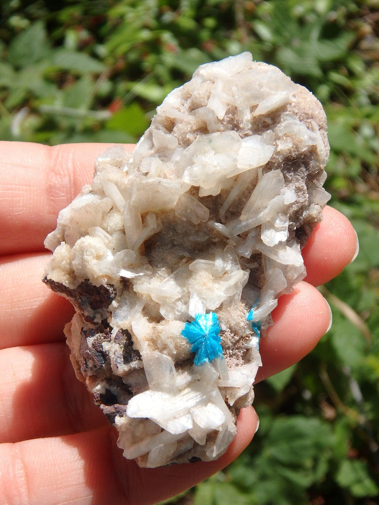 Electric Blue Cavansite on Heulandite Matrix From India1 - Earth Family Crystals