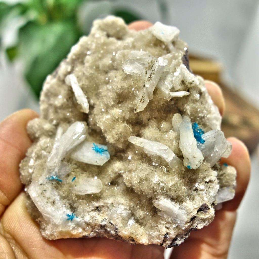 Electric Blue Cavansite Flowers Nestled on Shimmering Heulandite Matrix From India - Earth Family Crystals