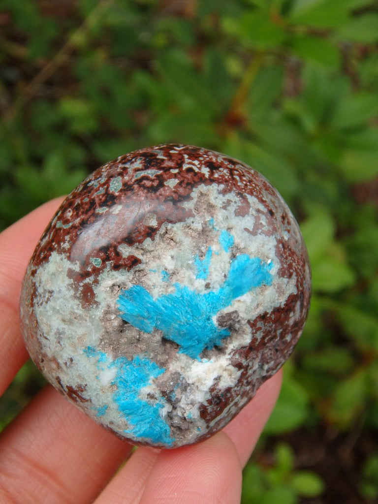 Electric Blue Cavansite in Partially Polished Matrix Palm Stone From India 2 - Earth Family Crystals